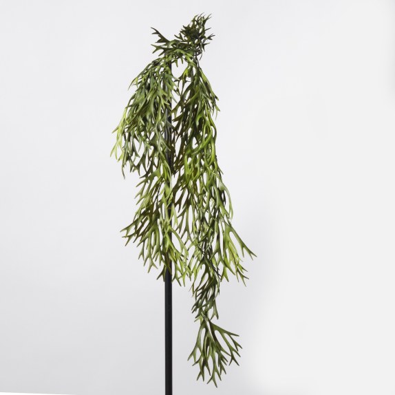 Supergreens Τεχνητό Κρεμαστό Πλατυκέριο Πράσινο 84 εκ.