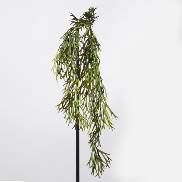 Supergreens Τεχνητό Κρεμαστό Πλατυκέριο Πράσινο...