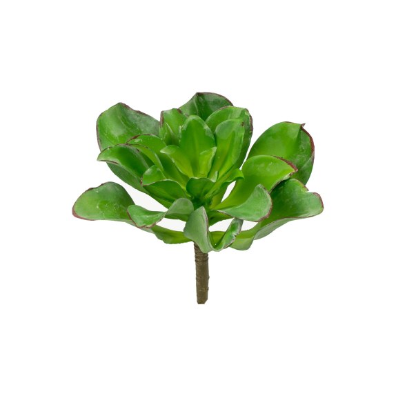 Supergreens Τεχνητό Χωνευτό Παχύφυτο "Veggie" Πράσινο 16 εκ.