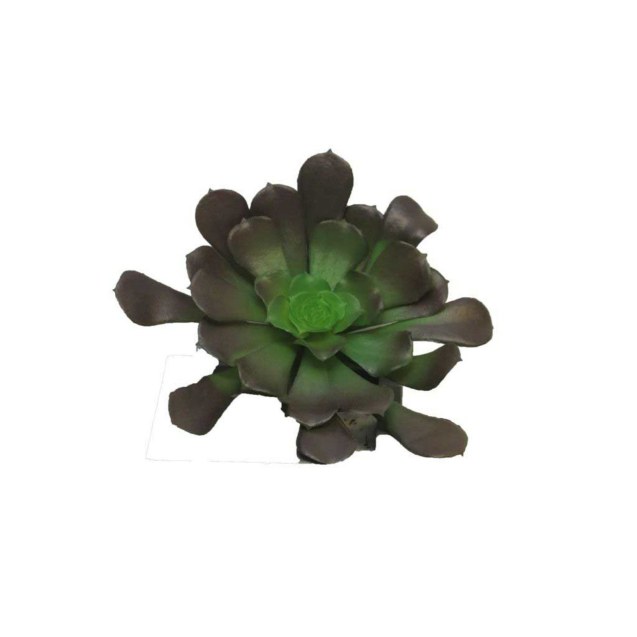 Supergreens Τεχνητό Χωνευτό Παχύφυτο Καφέ 10 εκ.