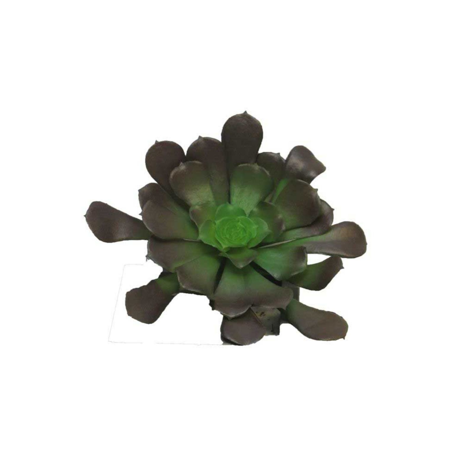 Supergreens Τεχνητό Χωνευτό Παχύφυτο Καφέ 10 εκ.