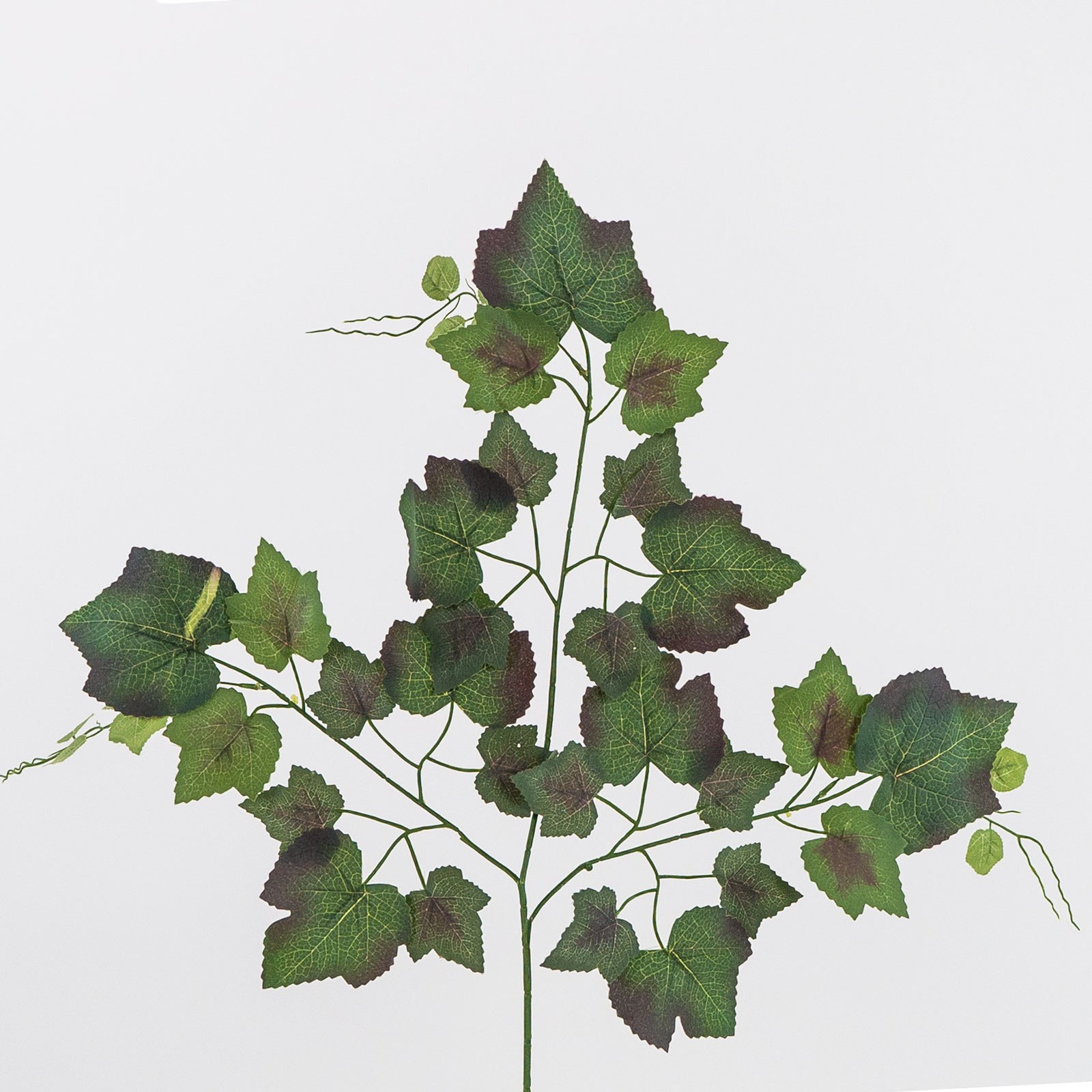 Supergreens Τεχνητό Κλωνάρι Κισσός Πράσινο 76 εκ.