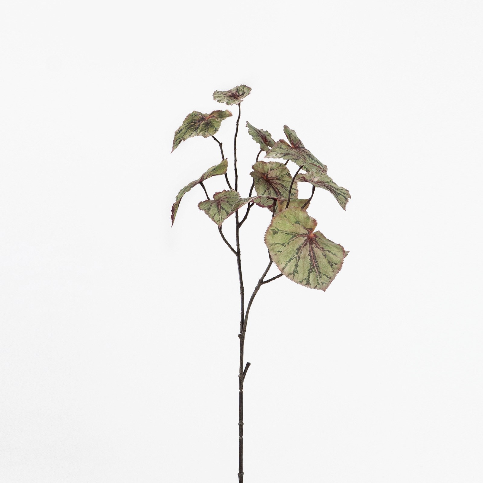 Supergreens Τεχνητό Κλαδί Καλάδιο Πράσινο 78 εκ.