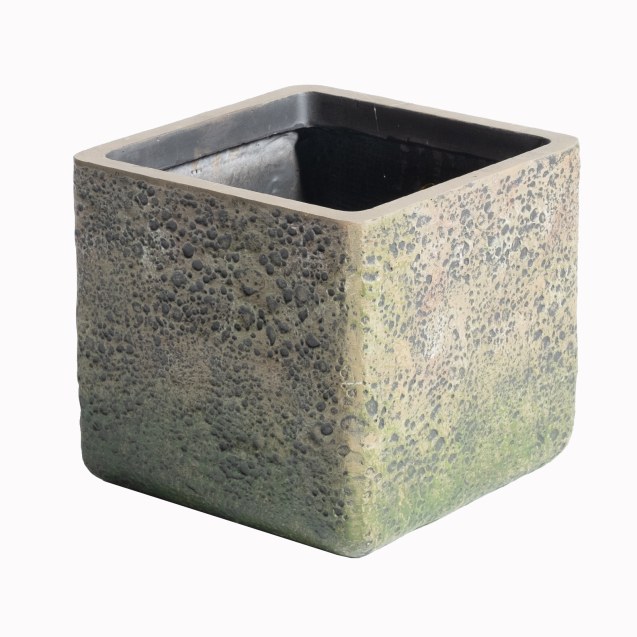 Supergreens Γλάστρα Πήλινη Τετράγωνη Βρύα...