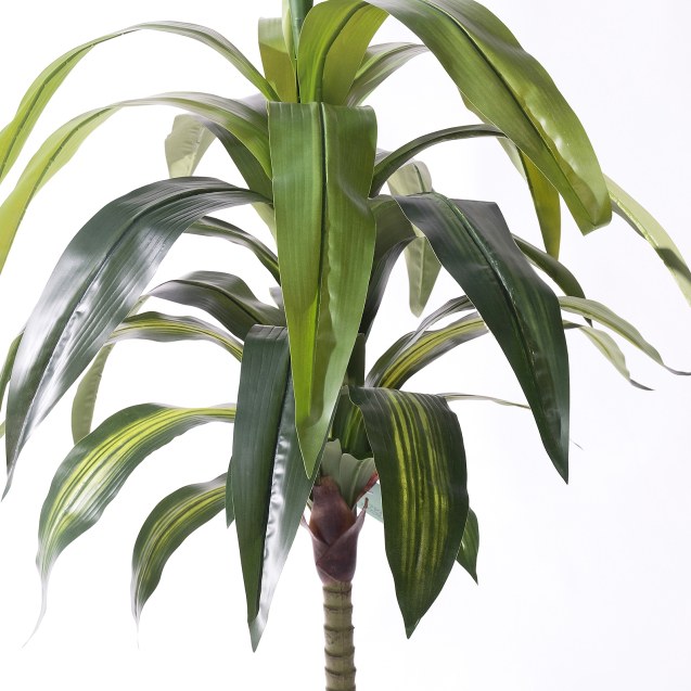 Supergreens Τεχνητό Δέντρο Δράκαινα Πράσινο 170...