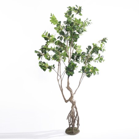 Supergreens Τεχνητό Δέντρο Φίκος Ginseng Πράσινο 250 εκ.