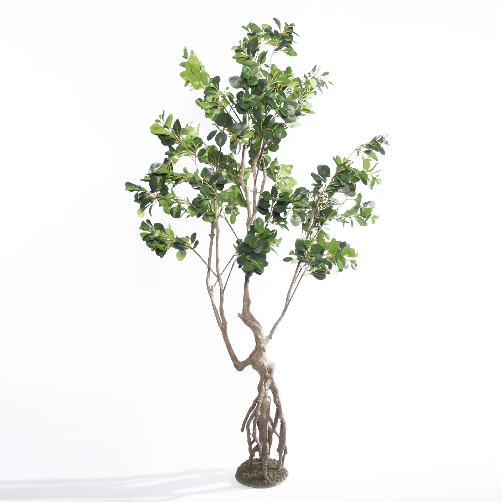 Supergreens Τεχνητό Δέντρο Φίκος Ginseng Πράσινο 250 εκ.