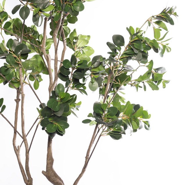 Supergreens Τεχνητό Δέντρο Φίκος Ginseng...