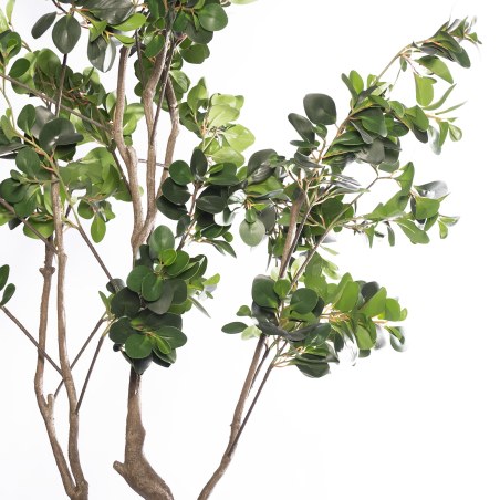 Supergreens Τεχνητό Δέντρο Φίκος Ginseng Πράσινο 250 εκ.