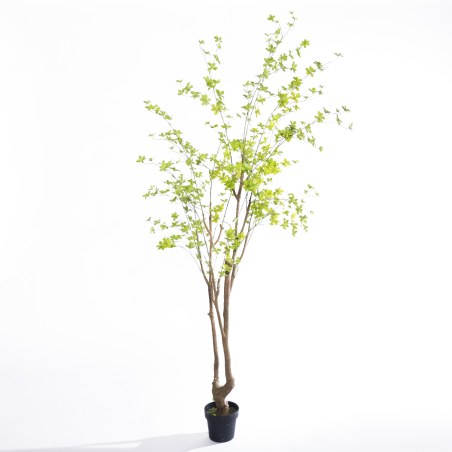 Supergreens Τεχνητό Δέντρο Φίκος Pumila Πράσινο 240 εκ.