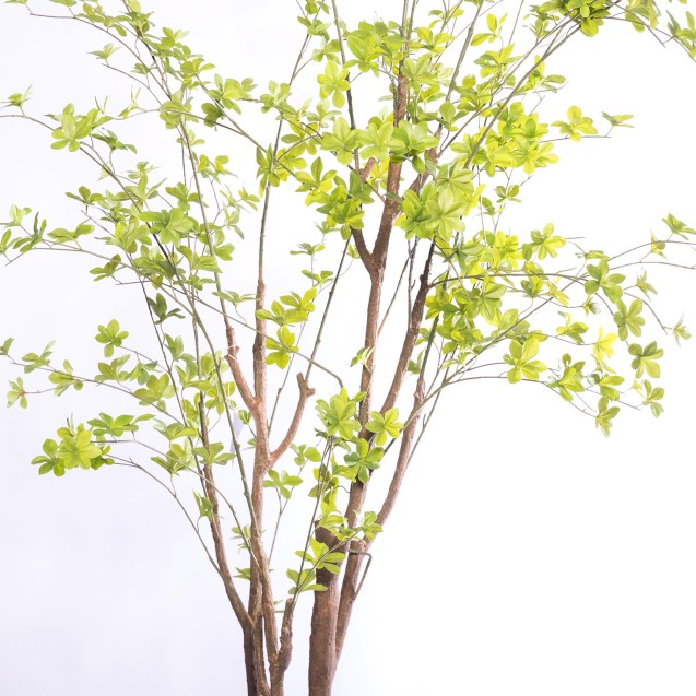 Supergreens Τεχνητό Δέντρο Φίκος Pumila Πράσινο...