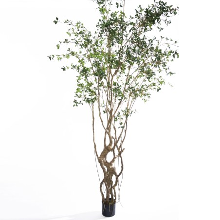 Supergreens Τεχνητό Δέντρο Φίκος Microcarpa Πράσινο 300 εκ.