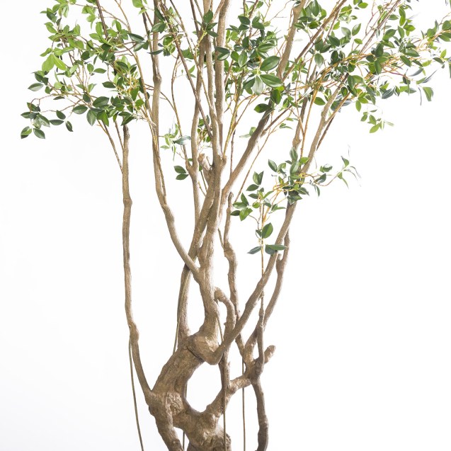 Supergreens Τεχνητό Δέντρο Φίκος Microcarpa...