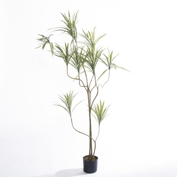 Supergreens Τεχνητό Δέντρο Δράκαινα Sanderiana Πράσινο...