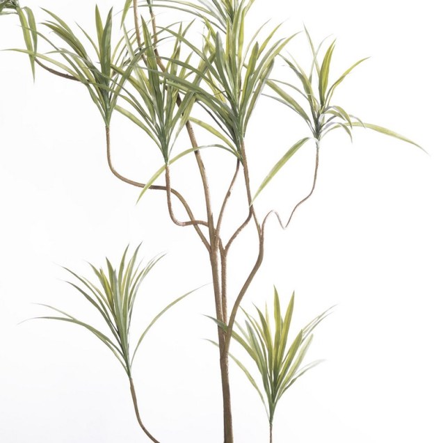 Supergreens Τεχνητό Δέντρο Δράκαινα Sanderiana...