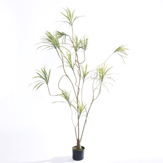 Supergreens Τεχνητό Δέντρο Δράκαινα Sanderiana Πράσινο...