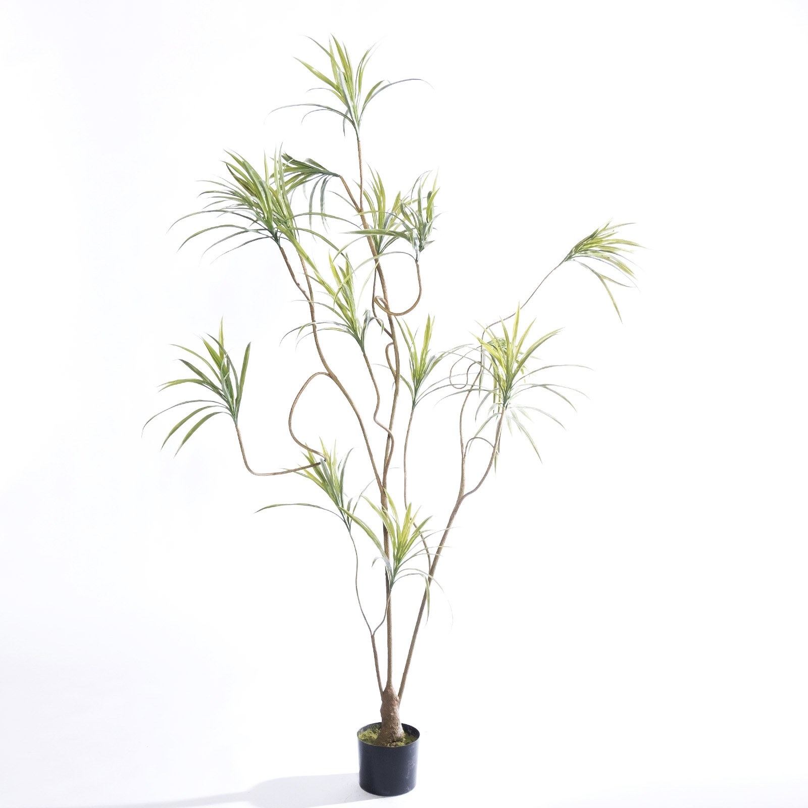 Supergreens Τεχνητό Δέντρο Δράκαινα Sanderiana Πράσινο 210 εκ.