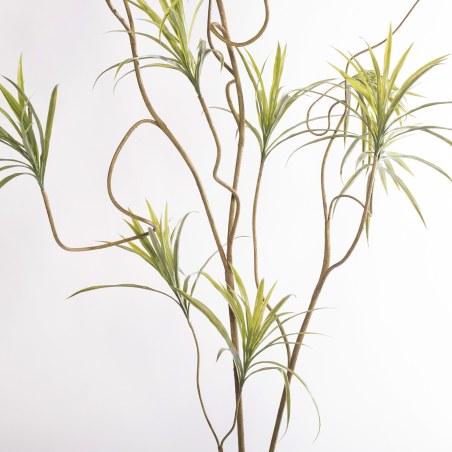 Supergreens Τεχνητό Δέντρο Δράκαινα Sanderiana Πράσινο 210 εκ.