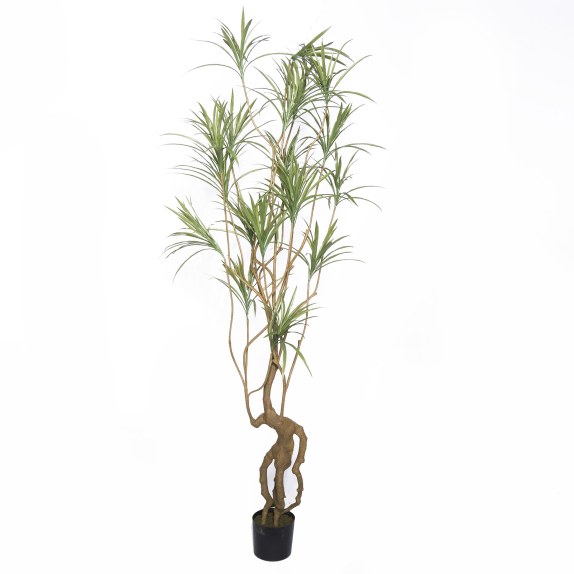 Supergreens Τεχνητό Δέντρο Δράκαινα Sanderiana Πράσινο...