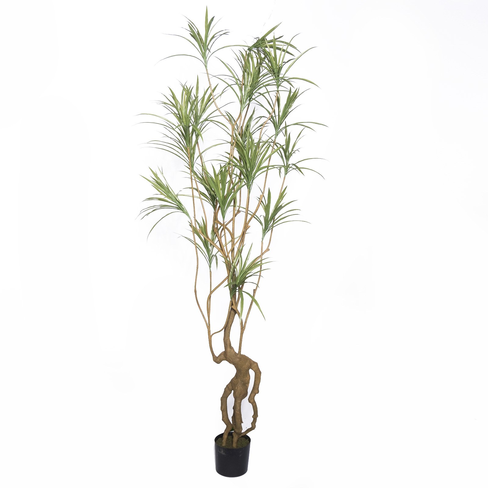 Supergreens Τεχνητό Δέντρο Δράκαινα Sanderiana Πράσινο 250 εκ.