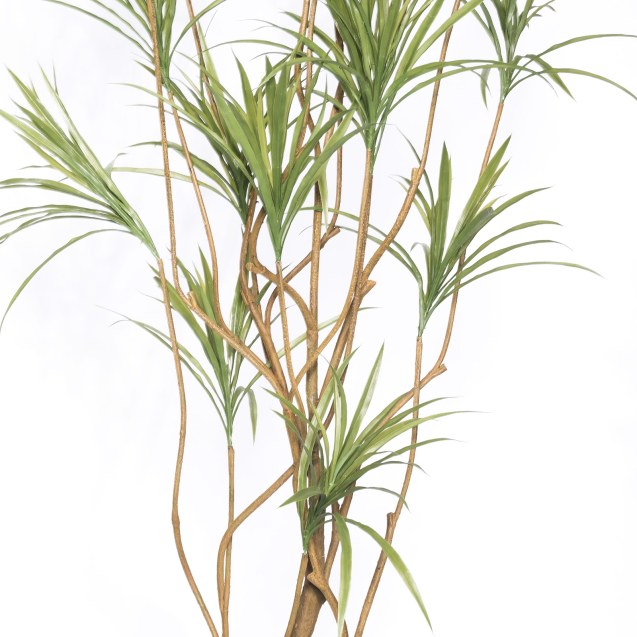 Supergreens Τεχνητό Δέντρο Δράκαινα Sanderiana...