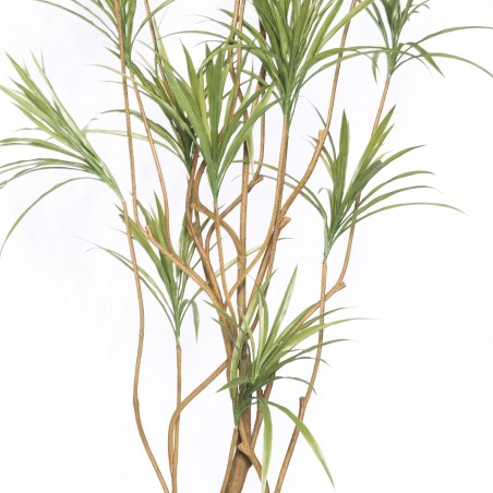 Supergreens Τεχνητό Δέντρο Δράκαινα Sanderiana Πράσινο 250 εκ.