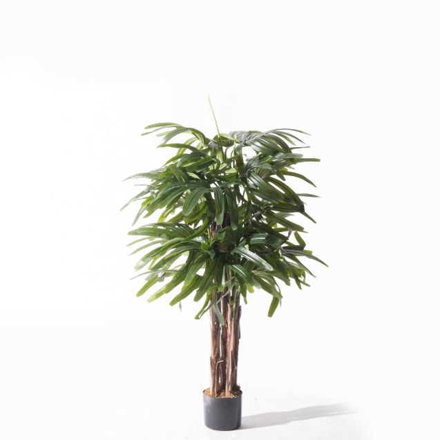 Supergreens Τεχνητό Δέντρο Ράπις Εxcelsa...