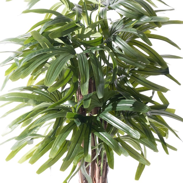 Supergreens Τεχνητό Δέντρο Ράπις Εxcelsa...