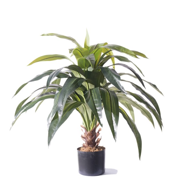 Supergreens Τεχνητό Φυτό Δράκαινα Πράσινο 100 εκ.