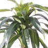 Supergreens Τεχνητό Φυτό Δράκαινα Πράσινο 100 εκ.