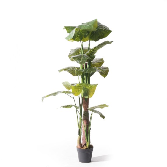 Supergreens Τεχνητό Δέντρο Αλοκάσια Elephant Ears Πράσινο...