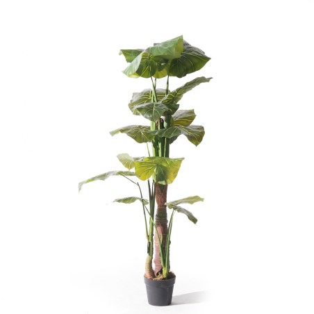 Supergreens Τεχνητό Δέντρο Αλοκάσια Elephant Ears Πράσινο 170 εκ.