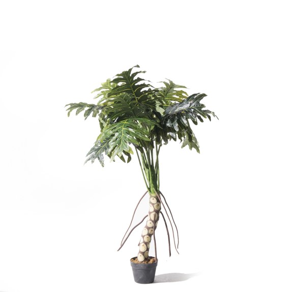 Supergreens Τεχνητό Δέντρο Θαυματόφυλλο Πράσινο 130 εκ.