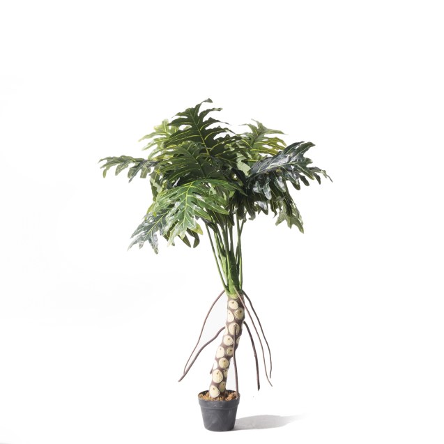 Supergreens Τεχνητό Δέντρο Θαυματόφυλλο Πράσινο...