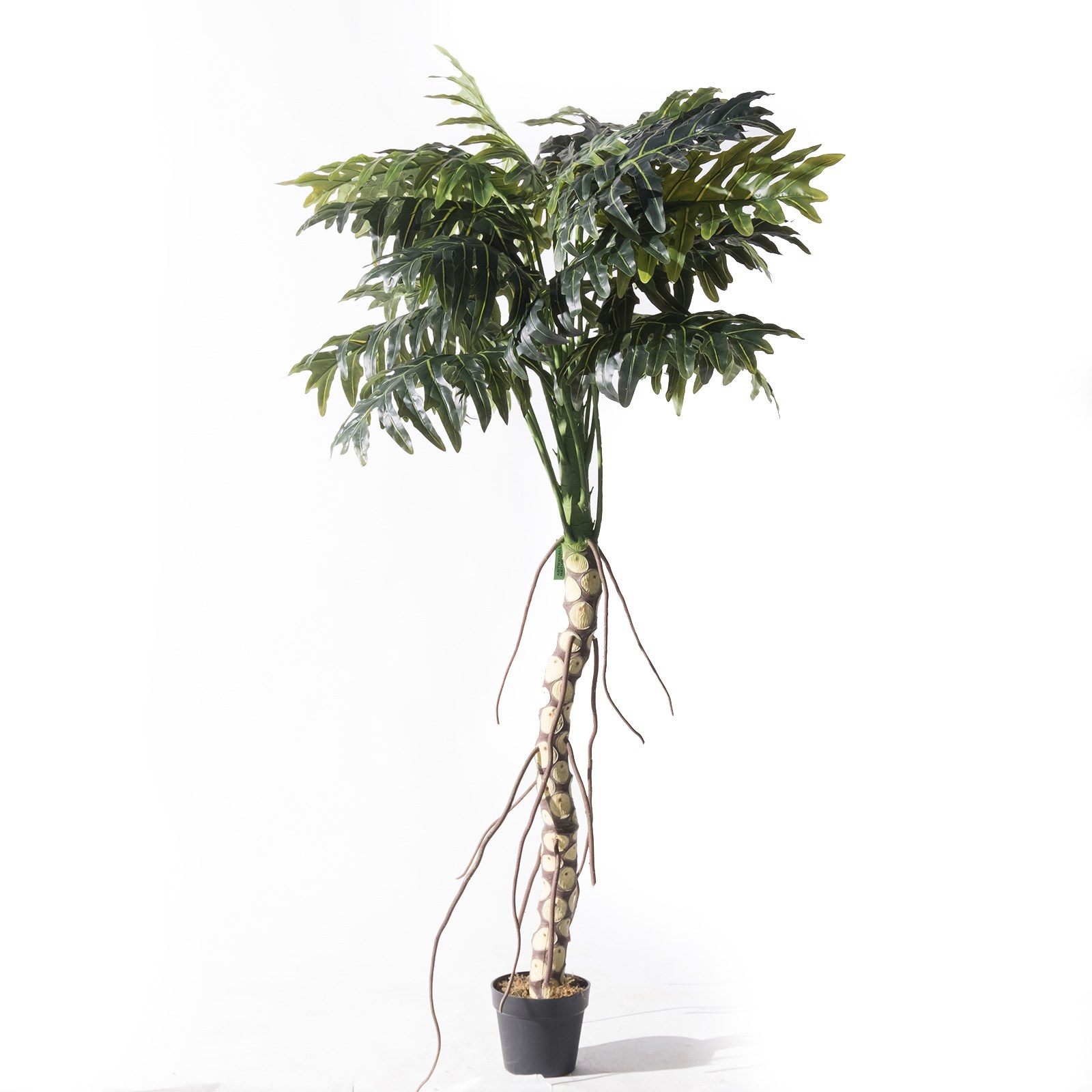 Supergreens Τεχνητό Δέντρο Θαυματόφυλλο Πράσινο 210 εκ.