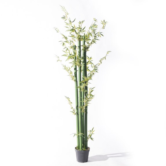 Supergreens Τεχνητό Δέντρο Μπαμπού Golden Πράσινο 230 εκ.