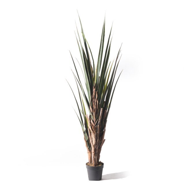 Supergreens Τεχνητό Δέντρο Αγαύη Πράσινο 180 εκ.