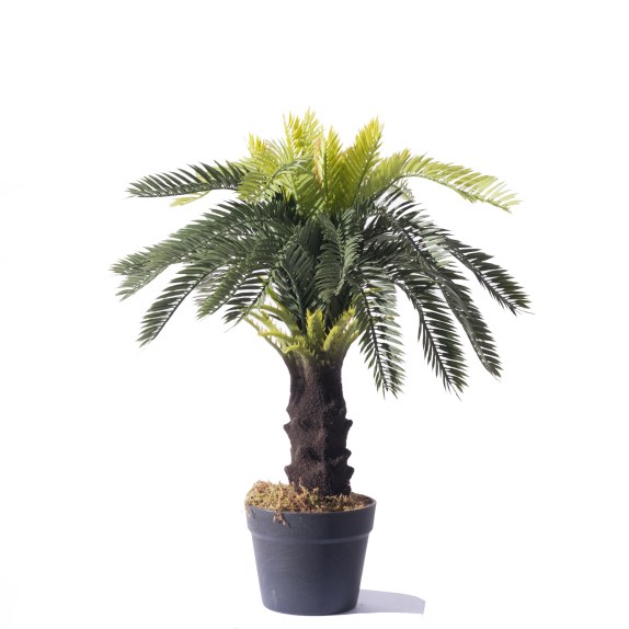 Supergreens Τεχνητό Φυτό Τσίκας Μίνι Πράσινο 60 εκ.