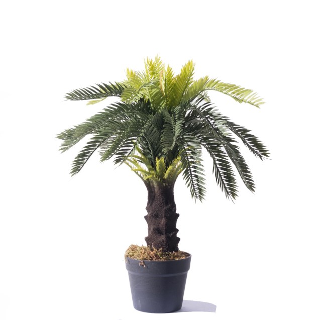 Supergreens Τεχνητό Φυτό Τσίκας Μίνι Πράσινο 60...