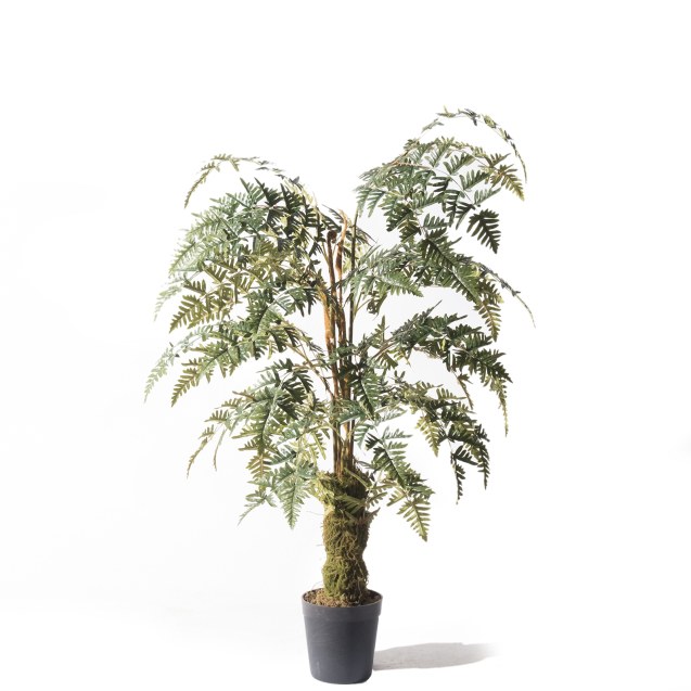 Supergreens Τεχνητό Δέντρο Φτέρη Πράσινο 150 εκ.