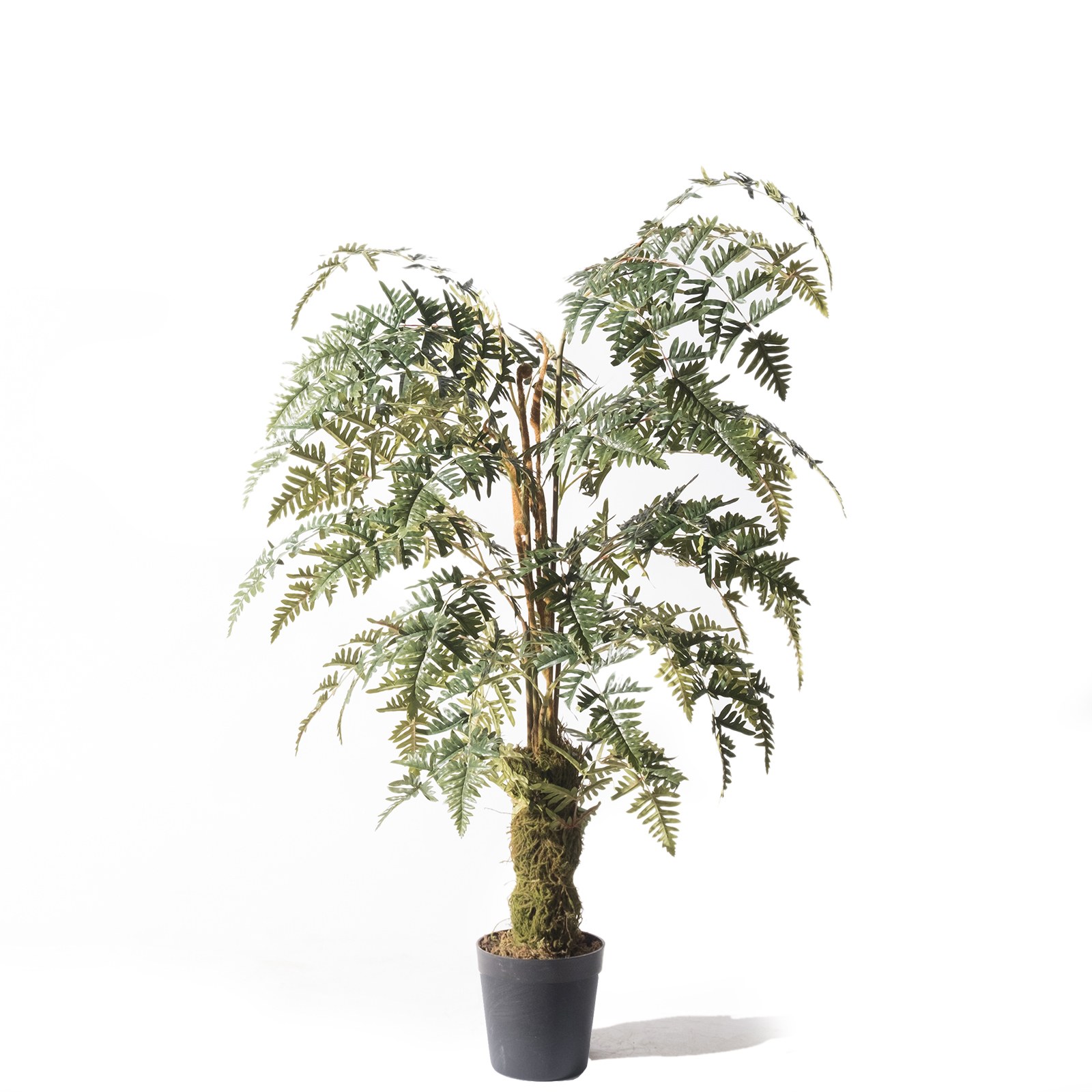 Supergreens Τεχνητό Δέντρο Φτέρη Πράσινο 150 εκ.