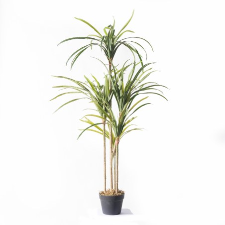 Supergreens Τεχνητό Δέντρο Δράκαινα "Anita" Πράσινο 150 εκ.