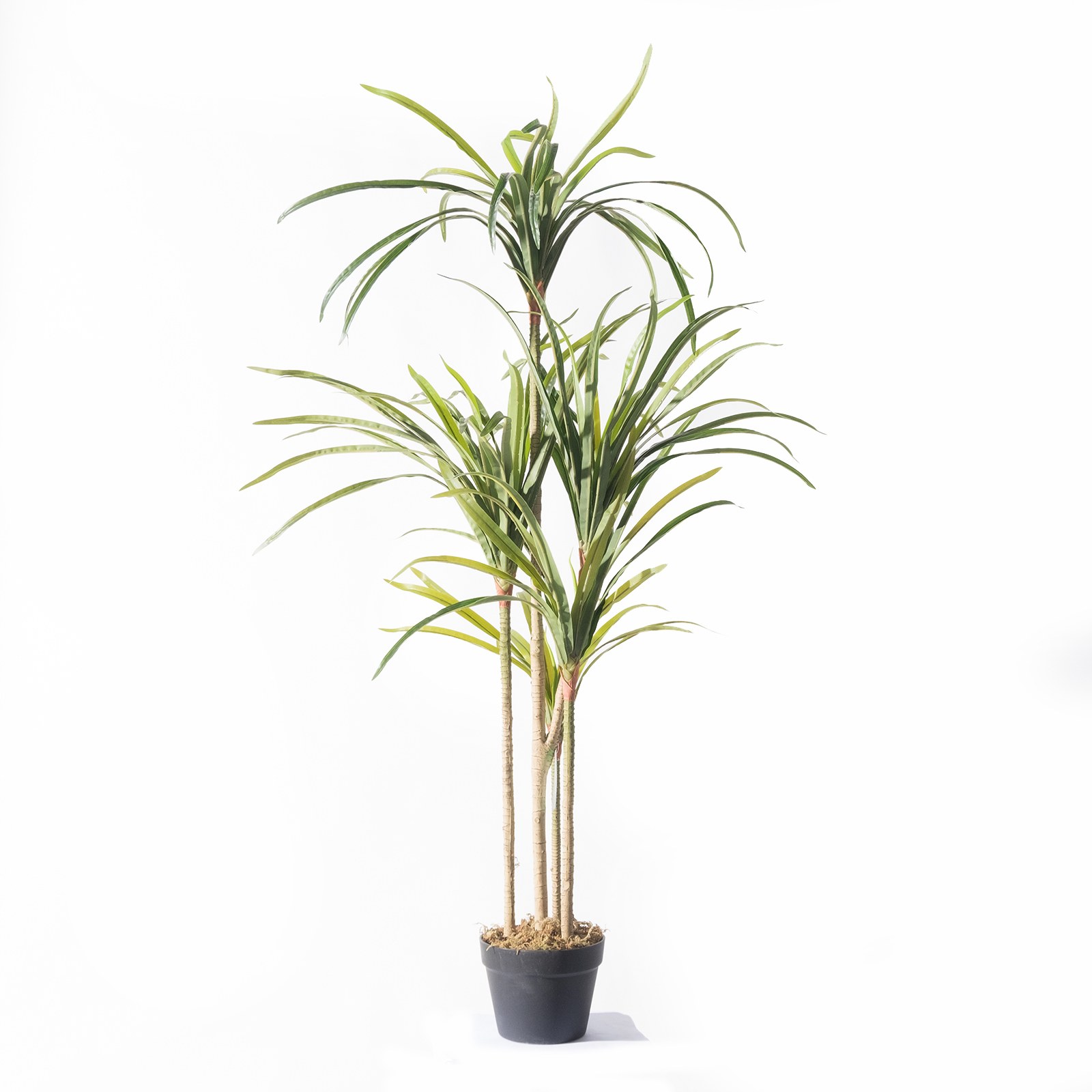 Supergreens Τεχνητό Δέντρο Δράκαινα "Anita" Πράσινο 150 εκ.