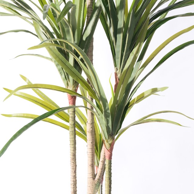 Supergreens Τεχνητό Δέντρο Δράκαινα "Anita"...