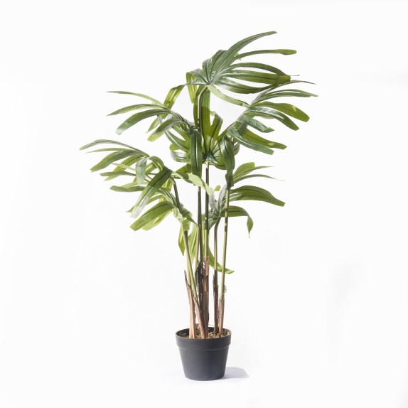 Supergreens Τεχνητό Δέντρο Ράπις Εxcelsa Πράσινο 110 εκ.