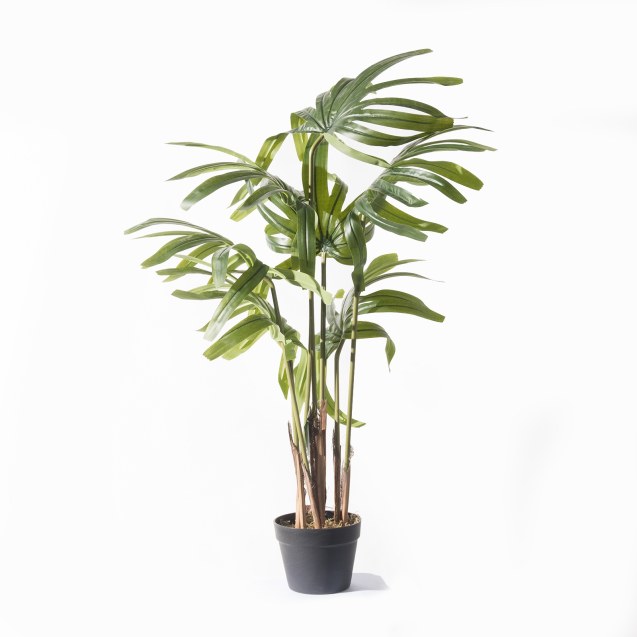 Supergreens Τεχνητό Δέντρο Ράπις Εxcelsa...