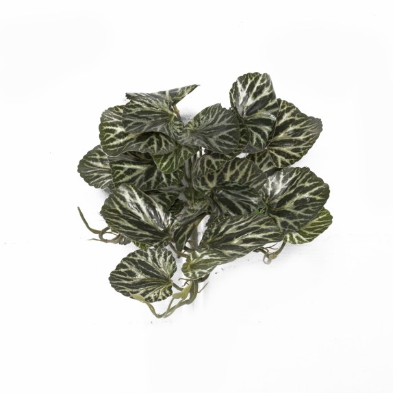 Supergreens Τεχνητή Κρεμαστή Σαξιφράγκα Sarmentosa...