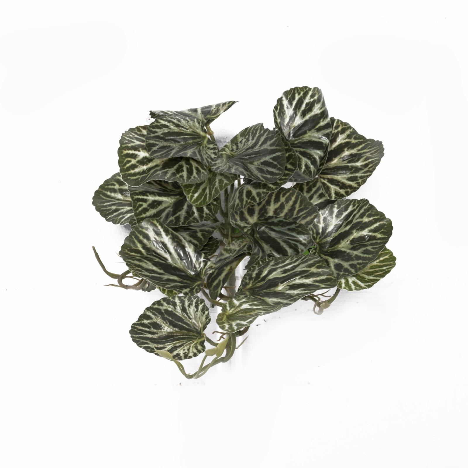 Supergreens Τεχνητή Κρεμαστή Σαξιφράγκα Sarmentosa Πράσινο 43 εκ.