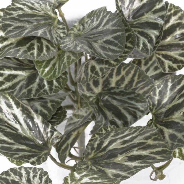 Supergreens Τεχνητή Κρεμαστή Σαξιφράγκα...