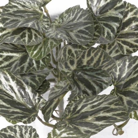 Supergreens Τεχνητή Κρεμαστή Σαξιφράγκα Sarmentosa Πράσινο 43 εκ.